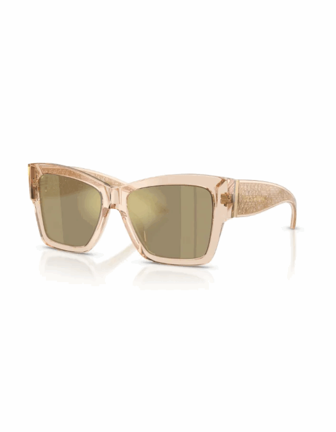 Γυαλιά ηλίου DOLCE & GABBANA DG4493 343203
