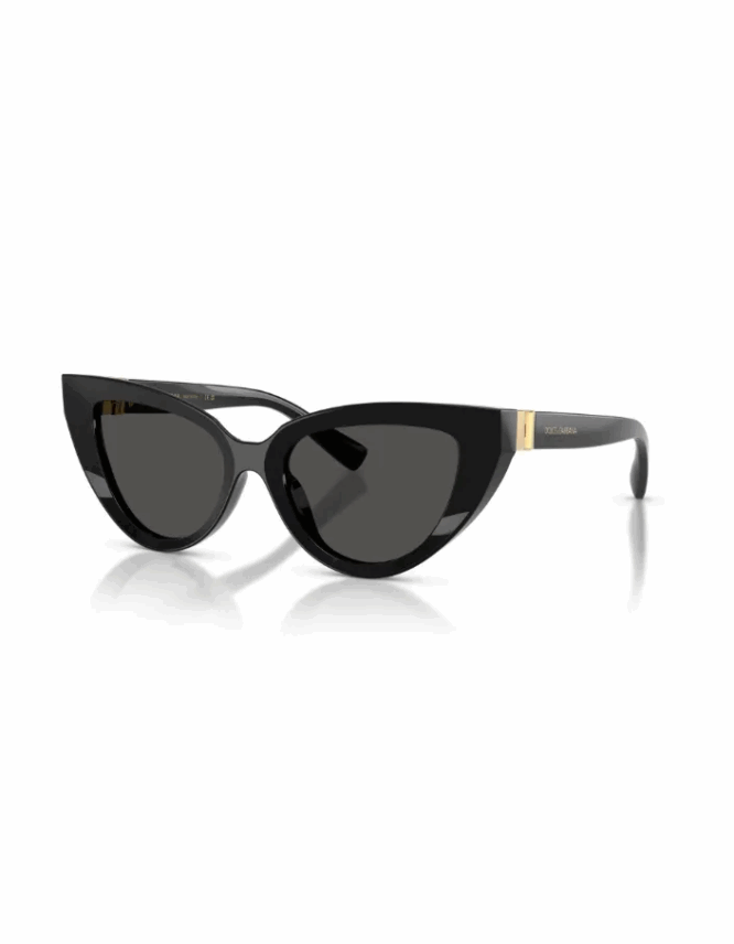 Γυαλιά ηλίου DOLCE & GABBANA DG4497 501/87