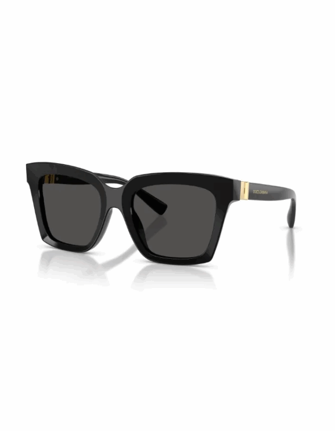 Γυαλιά ηλίου DOLCE & GABBANA DG4498 501/87