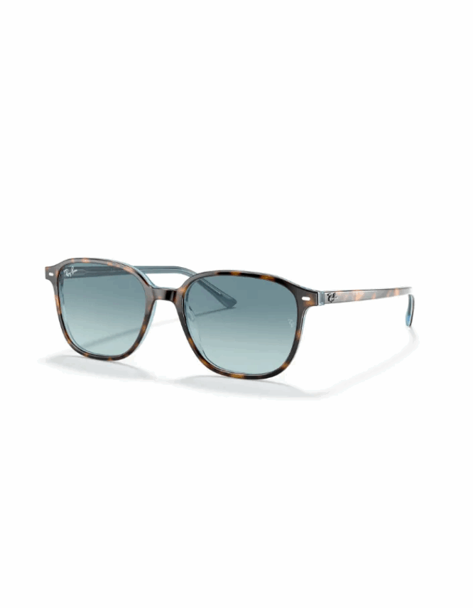 Γυαλιά ηλίου RAY-BAN LEONARD RB2193 13163M