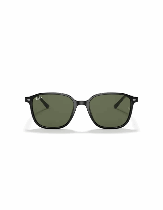 Γυαλιά ηλίου RAY-BAN LEONARD RB2193 901/31 - Image 2