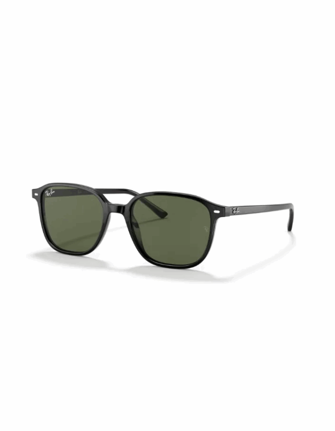 Γυαλιά ηλίου RAY-BAN LEONARD RB2193 901/31