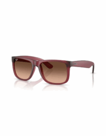 Γυαλιά ηλίου RAY-BAN JUSTIN RB4165 6815A5