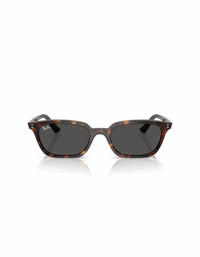 Γυαλιά ηλίου RAY-BAN ZAYA RB4456 135987 - Image 2