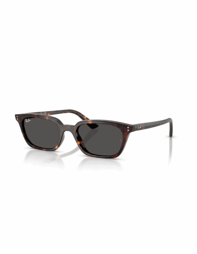 Γυαλιά ηλίου RAY-BAN ZAYA RB4456 135987