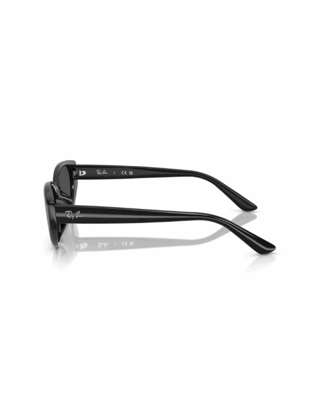 Γυαλιά ηλίου RAY-BAN RB4457D 667787 - Image 3