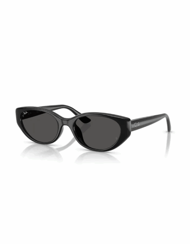 Γυαλιά ηλίου RAY-BAN RB4457D 667787