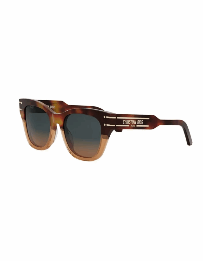 Γυαλιά Ηλίου DIOR DIORSIGNATURE B4I 25F2