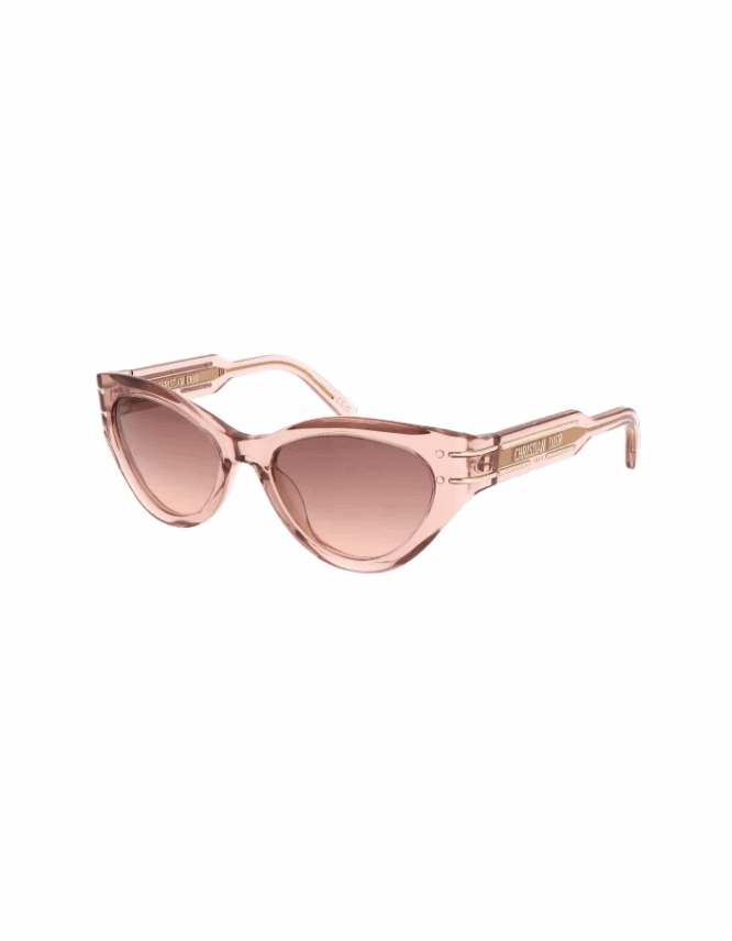 Γυαλιά Ηλίου DIOR DIORSIGNATURE B7I 40F1