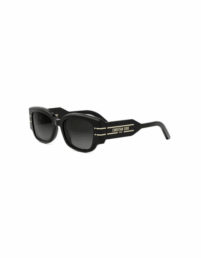 Γυαλιά Ηλίου DIOR DIORSIGNATURE S13I 10A1