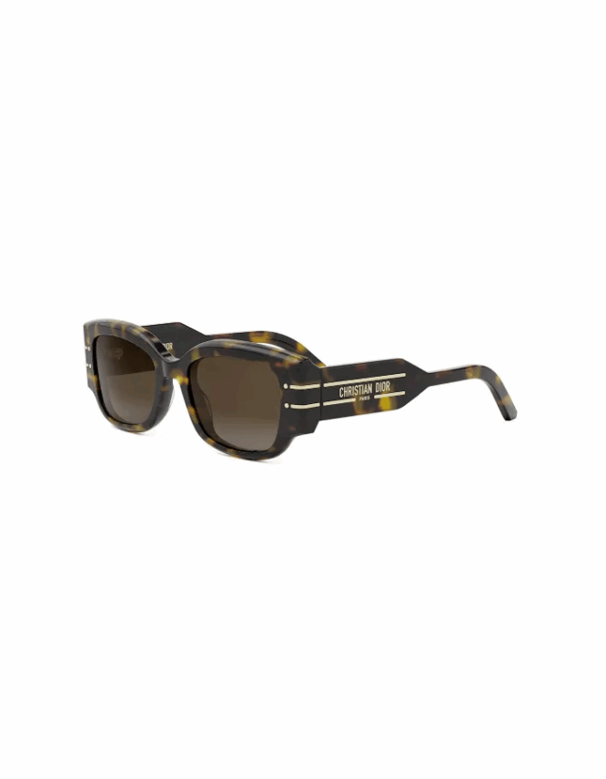 Γυαλιά Ηλίου DIOR DIORSIGNATURE S13I 20F1