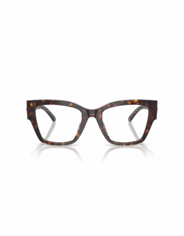 Χρώμα Σκελετού: Ταρταρούγα