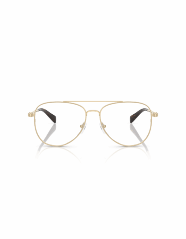 Χρώμα Σκελετού: Χρυσό