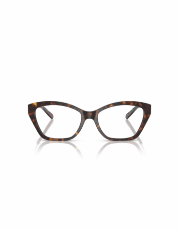 Χρώμα Σκελετού: Ταρταρούγα