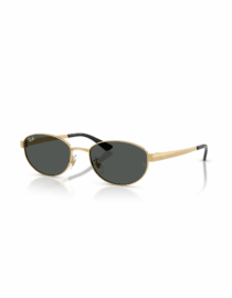 Γυαλιά ηλίου RAY BAN RB 3774D 001/87