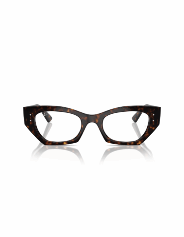 Χρώμα Σκελετού: Ταρταρούγα