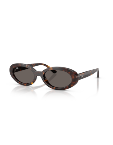 Γυαλιά ηλίου RAY BAN RB2223 902/B1