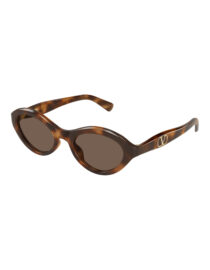 Γυαλιά Ηλίου VALENTINO VG0008S 002