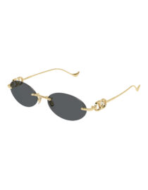Γυαλιά Ηλίου VALENTINO VG0032S 001